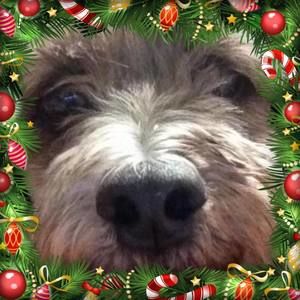 Meet your Posher, Pamela